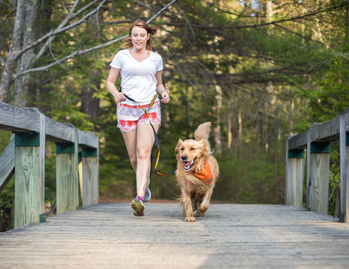 Running with Your Dog