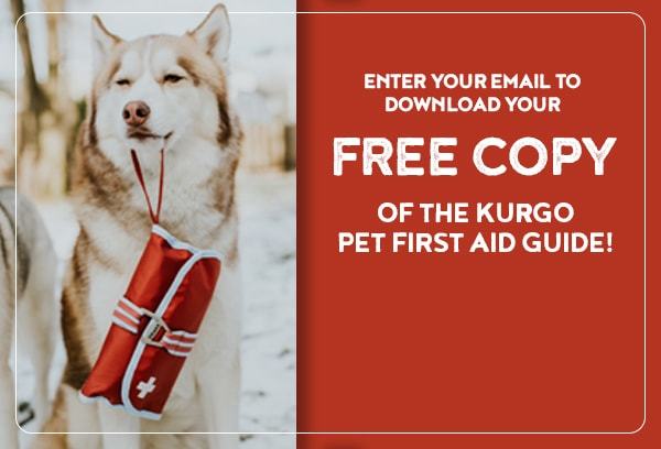 Free Dog First Aid Guide Book Pet CPR Tips Kurgo Dog Products